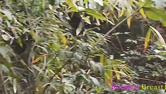 A Wild Ex-Boyfriend Has Intense Sex With A Rural Woman In The Woods Until He Climaxes